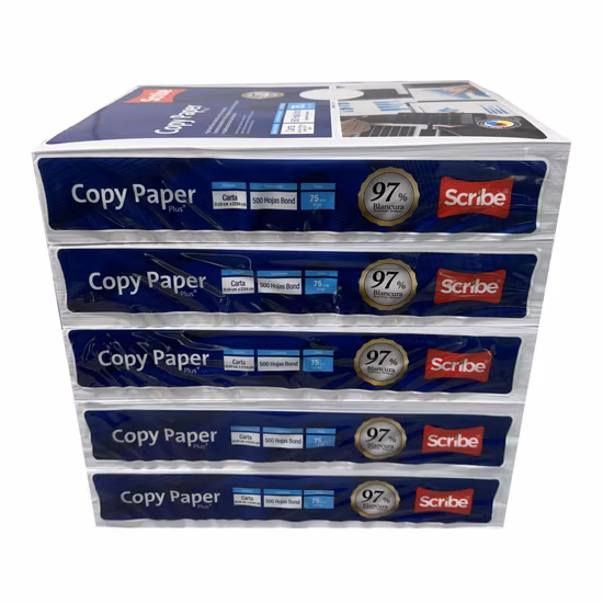 Copieur papier A4 100 % pâte à papier, 500 feuilles/rame